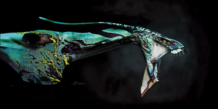 2560x1440 Vans off The Wall Wallpaper ·① WallpaperTag