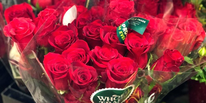 4032x3024 red roses