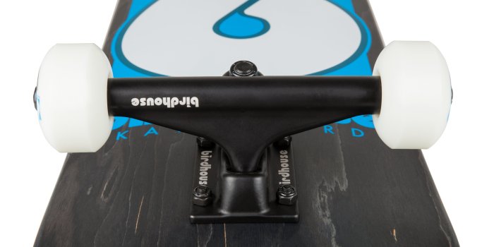 5265x3744 COMPLETES - BIRDHOUSE SKATEBOARDS