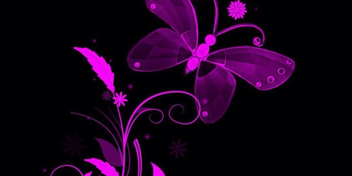 1080x1920 Black and purple butterfly | Beautifulllll in 2019 | Butterfly