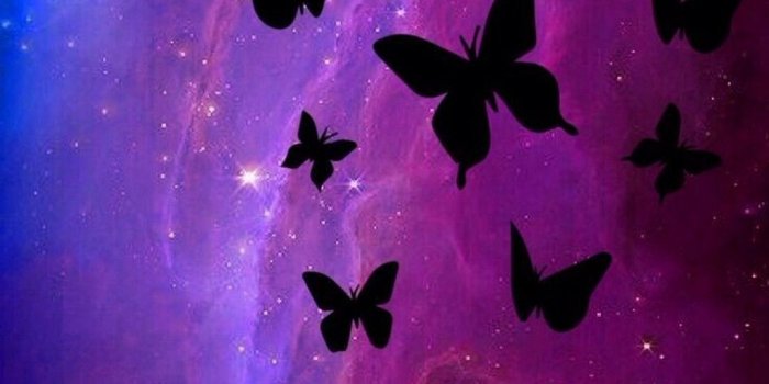 1080x1920 Black Butterfly Purple iPhone 7 Wallpaper | iPhoneWallpapers | Best