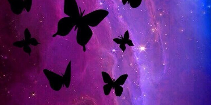 750x1334 Black and pink and purple butterflies | Animation Background in 2019