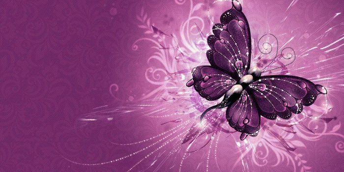 1280x960 Purple Butterfly Wallpapers