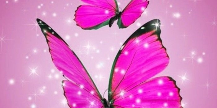 768x1280 Black And Pink Butterflies Wallpapers