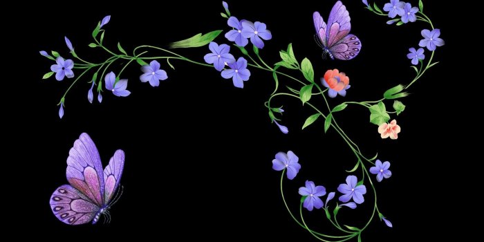 1920x1080 Black Butterfly And Flowers Wallpapers