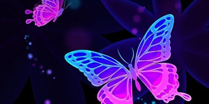 720x1280 Midnight Purple Butterfly Wallpapers - Top Free Midnight Purple