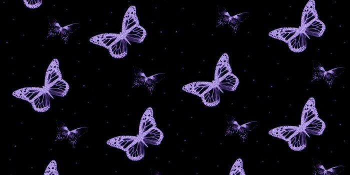 1280x960 Free download PURPLE BUTTERFLIES wallpaper ForWallpapercom [1280x960