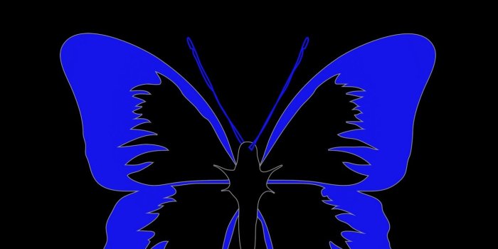 1350x2400 Download wallpaper 1350x2400 butterfly, minimalism, black, blue
