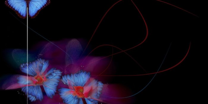 1600x1200 Black Butterfly And Flowers Wallpapers