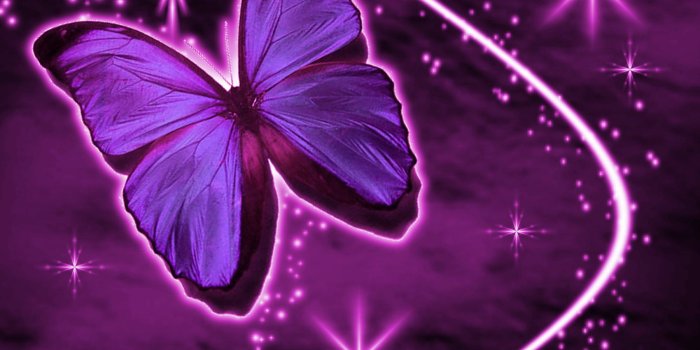 1800x1600 74+] Purple Butterflies Wallpaper on WallpaperSafari