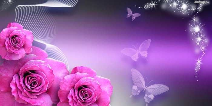 1280x719 35+ Pink and Purple Butterfly Wallpapers - Download at WallpaperBro