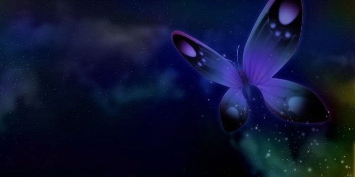 1024x768 Black and purple butterfly illustration, fantasy art, digital art