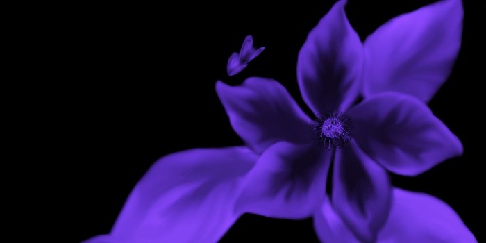 1680x1050 Lavender And Butterflies Wallpapers