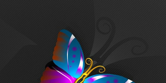 1080x1920 Black and pink and purple | BUTTERFLIES in 2019 | Butterfly