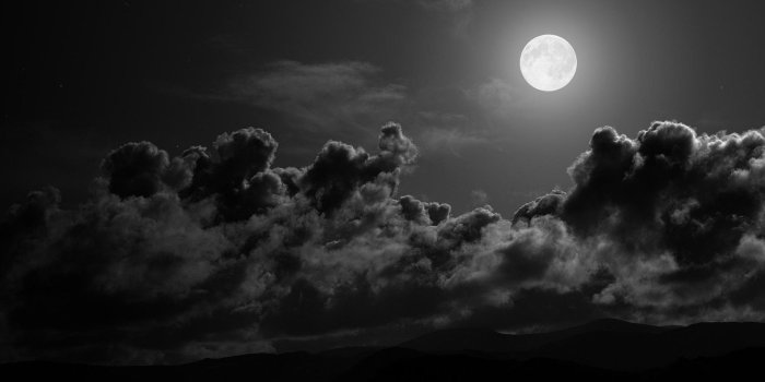 1920x1080 Wallpapers Black and White (70+ background pictures)