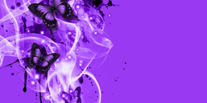 1024x768 black purple butterfly by_lockjavv | the secret keeper