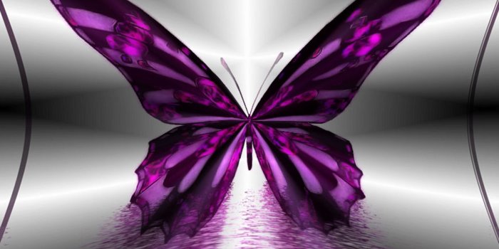 1600x1200 Beautiful Butterflies - Butterflies Wallpaper (9481772) - Fanpop