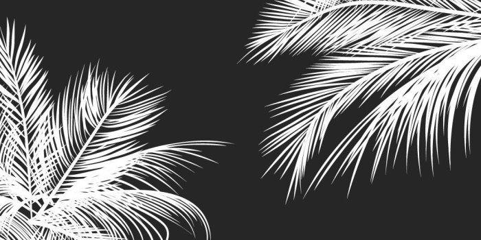 1081x1921 Cute Black and White Aesthetic Wallpapers - Top Free Cute Black and