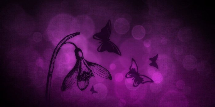 1280x900 Purple and black butterflies illustration, abstract, flowers