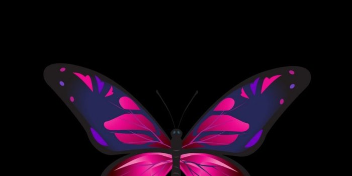 938x1668 Butterfly, patterns, wings, dark background wallpaper