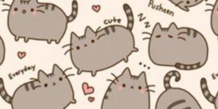 1056x1564 Kawaii Donut Cats Wallpapers - Top Free Kawaii Donut Cats