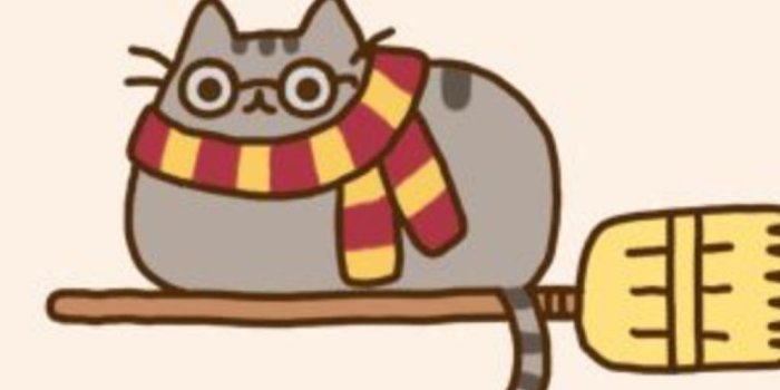 1024x768 Tyler @pusheen121 Instagram Profile | Picdeer