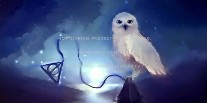 2048x1152 the deathly hallows harry potter deadly owl