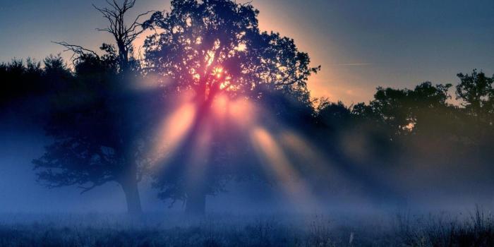 1680x1050 Free Wallpaper - Free Nature wallpaper - Early morning fog wallpaper