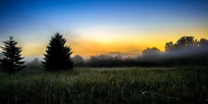 2560x1600 Early Morning - [2560 x 1600]