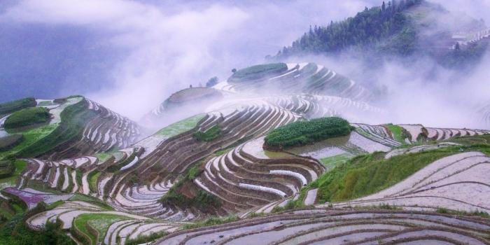 1244x700 Landscapes nature mist terraces natural scenery early morning rice