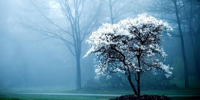 3840x2400 Early Morning 4k Ultra HD Wallpaper | Background Image | 3840x2400