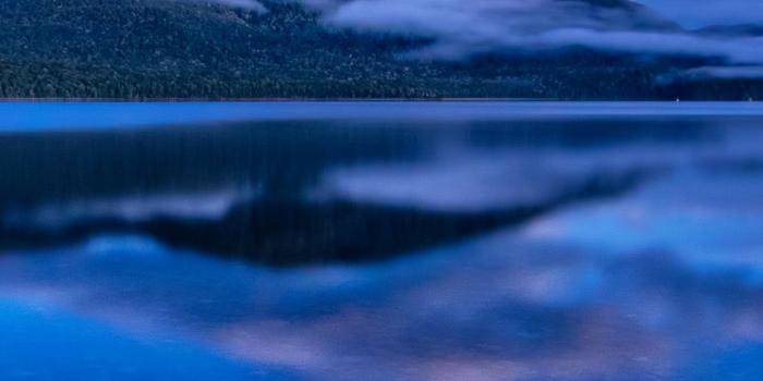 1242x2688 1242x2688 Early Morning Nature 4k 5k Iphone XS MAX HD 4k Wallpapers