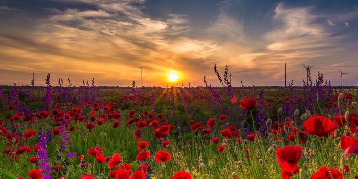 1600x1200 Standard - Bulgarian Nature (#247574) - HD Wallpaper Download