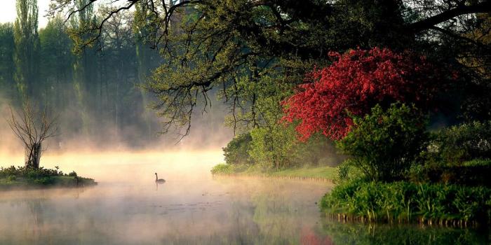 1366x768 Peaceful Trees Reflection Morning Lake Leaves Nature - Early Morning