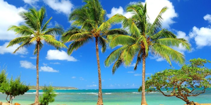 1920x1080 Caribbean Beach Wallpapers Free - Caribbean Beaches Wallpaper