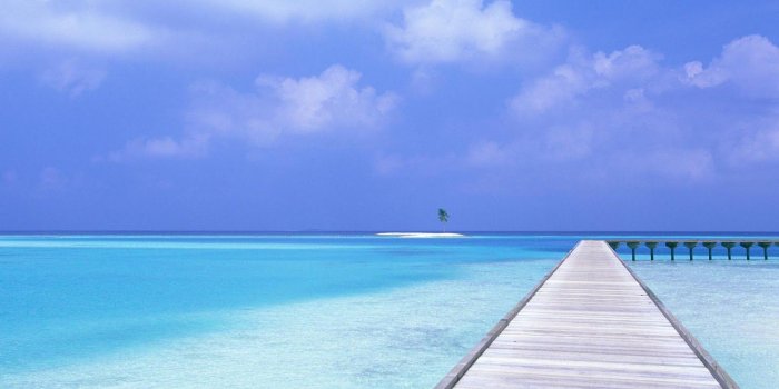 1600x1000 43+] Caribbean Beach Wallpaper on WallpaperSafari