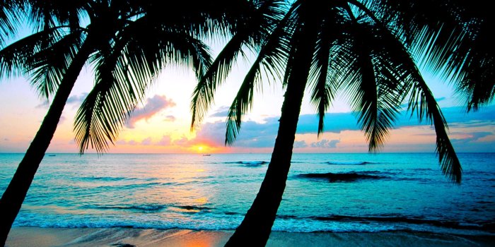 1920x1080 39+] Caribbean Sunset Wallpaper Desktop on WallpaperSafari