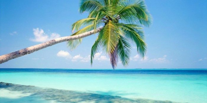 1024x768 Cool Caribbean Beach Wallpapers Desktop Background