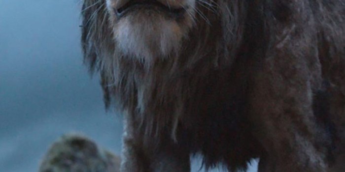 1125x2436 Lion King 2019 Wallpapers