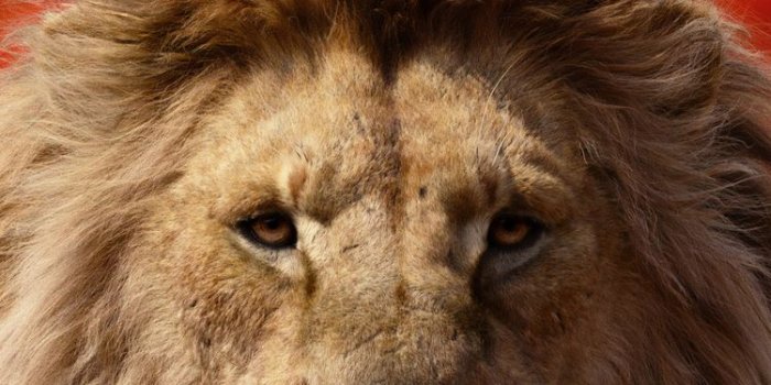 750x1334 750x1334 James Earl Jones As Mufasa The Lion King 2019 4k iPhone 6