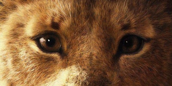 750x1334 Download 750x1334 wallpaper simba, the lion king, 2019 movie, iphone