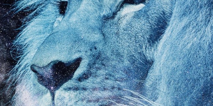 938x1668 Lion King iPhone Wallpapers - Top Free Lion King iPhone Backgrounds