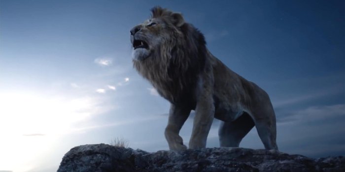 1800x942 The Lion King HD Wallpapers | 7wallpapers.net