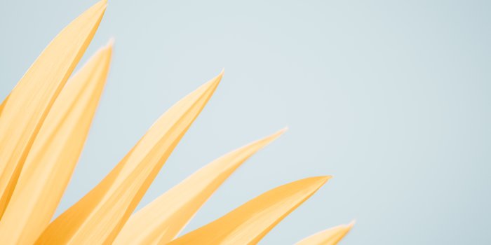 6000x4000 Orange Desktop Aesthetic