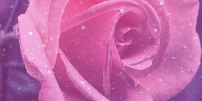 1242x2208 45+ Pink Rose Glitter Wallpapers - Download at WallpaperBro
