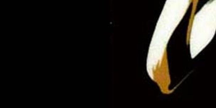 1080x1920 One Piece Wallpaper Hd - One Piece Luffy Wallpaper Iphone (#85310