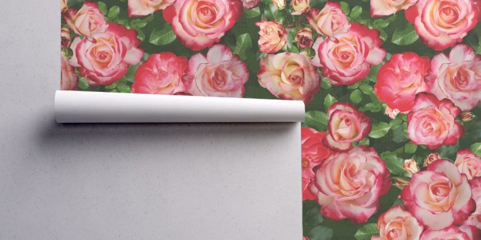 1024x1024 Pink Cream Ombre Roses on Green wallpaper - ms__contrary - Spoonflower