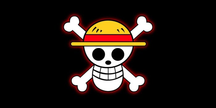 1332x850 Wallpaper skull, glow, hat, bones, black background, fun, one piece
