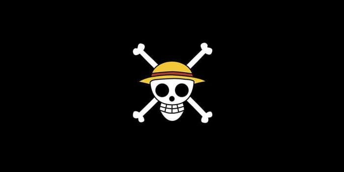 1024x1024 One Piece iPad Wallpapers - Top Free One Piece iPad Backgrounds