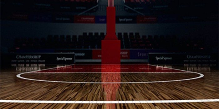 896x2048 3D Basketball Hall 60 Door Mural | AJ Wallpaper